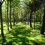 Camping Village Viareggio