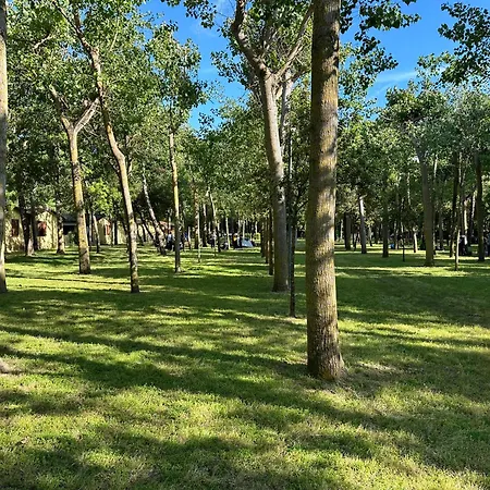 Village Camping