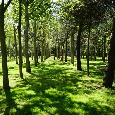 Кемпінг Village В'яреджо