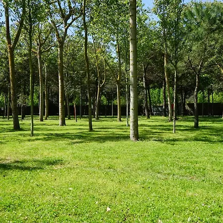 Village *