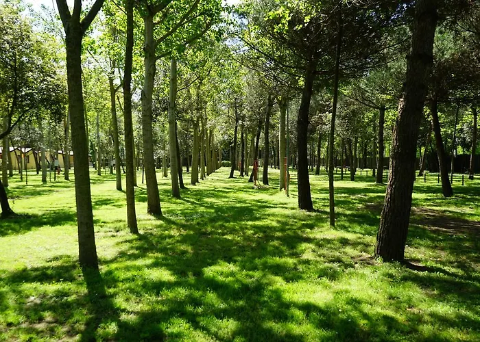 Camping Village Viareggio